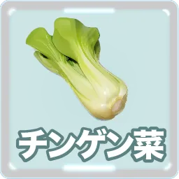 チンゲン菜