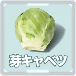 芽キャベツ