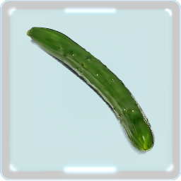きゅうり 栄養は脂肪を分解 オシャレ野菜代表おすすめレシピ Cucumber