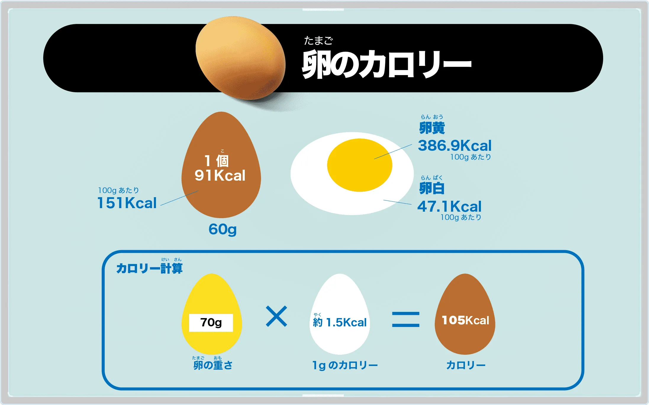 卵のカロリー