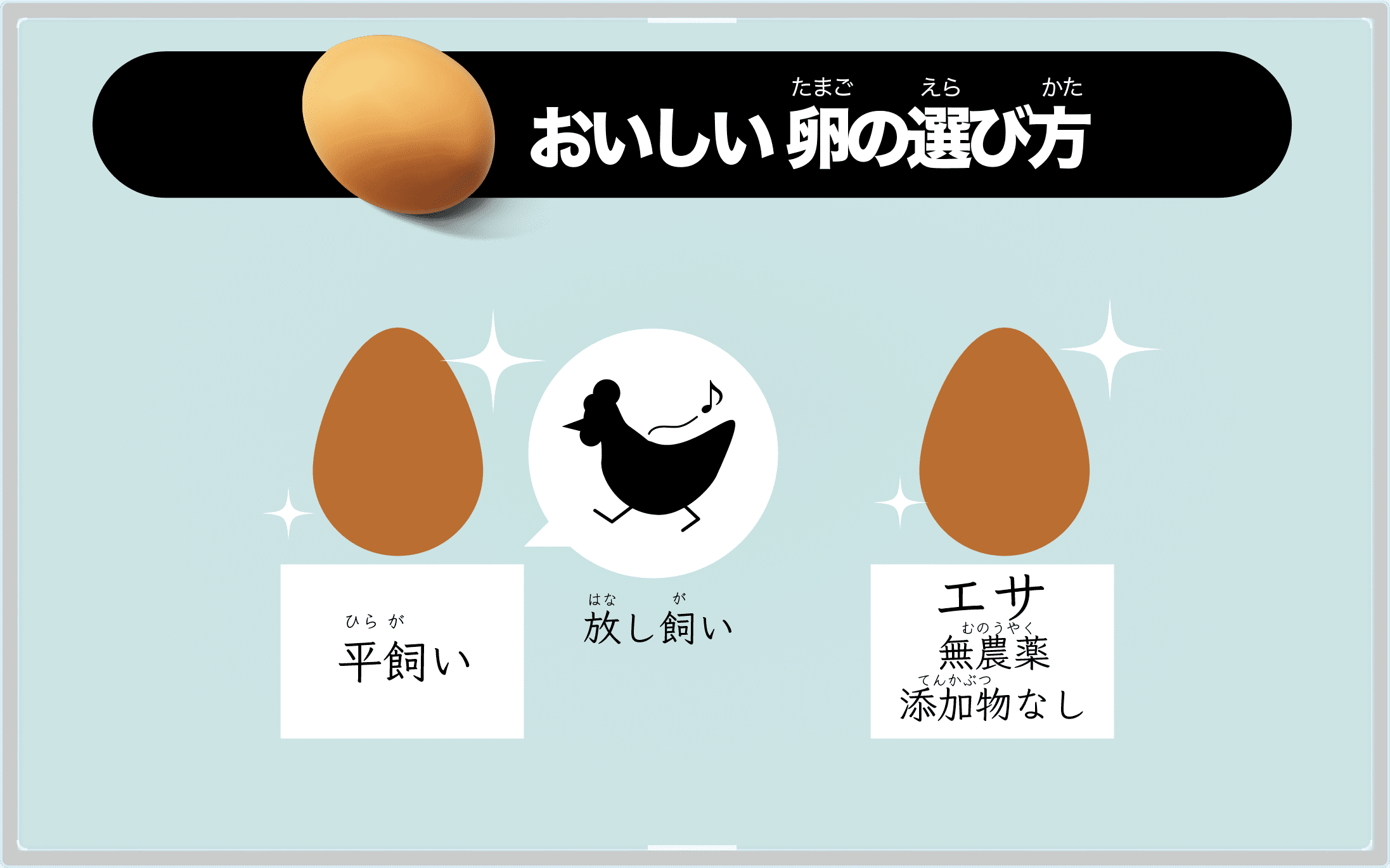 おいしい卵の選び方