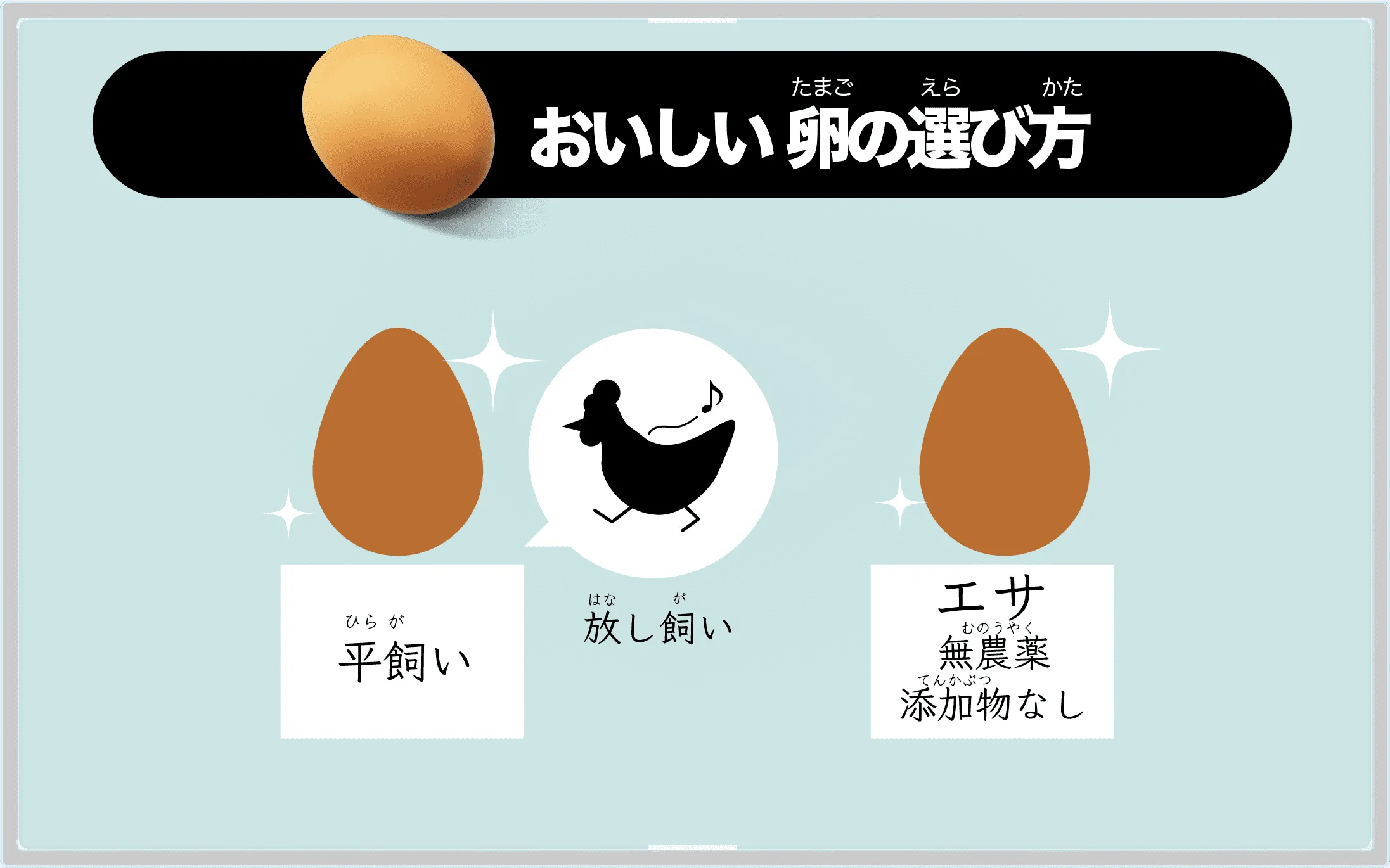 おいしい卵の選び方
