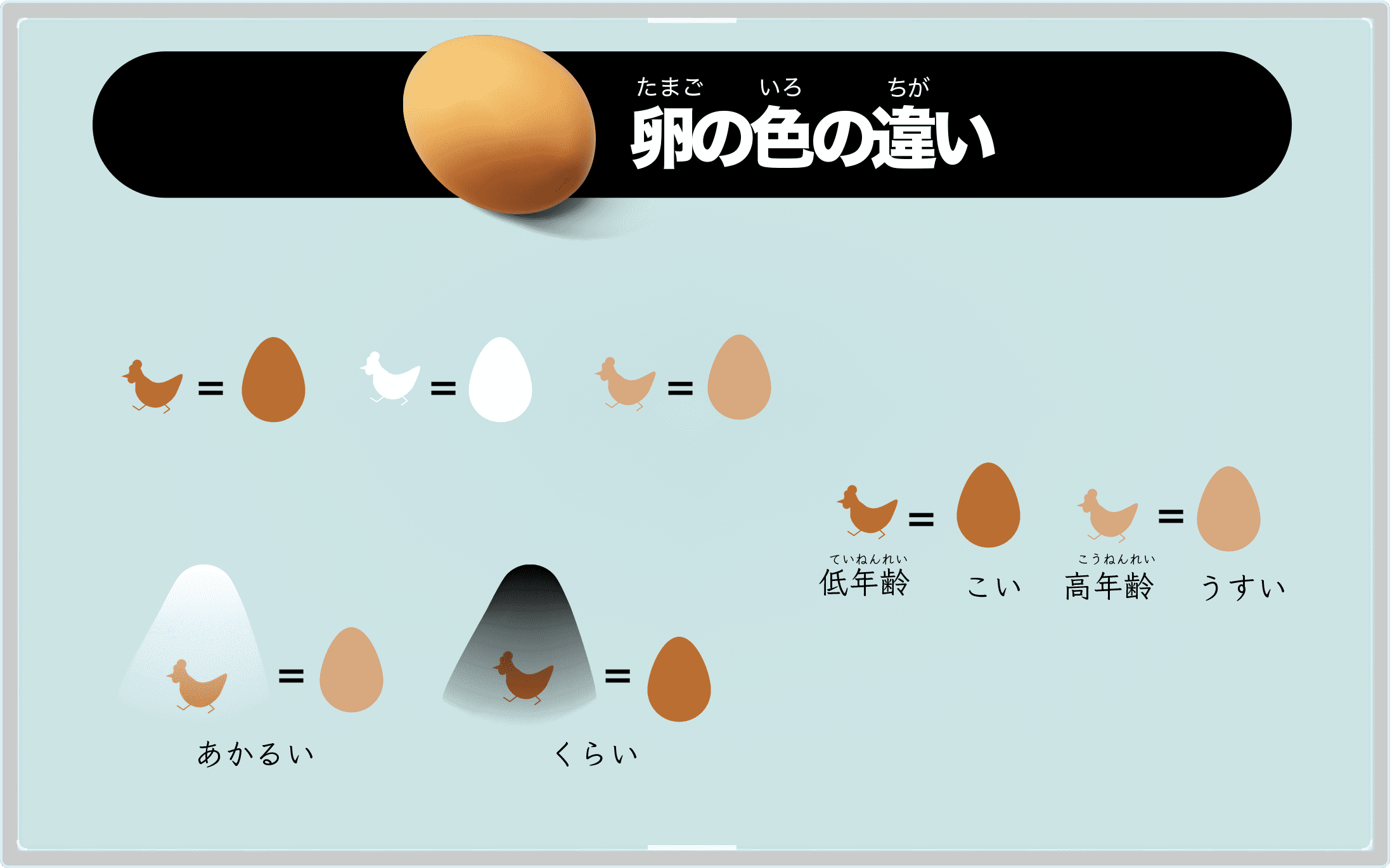 卵の色の違い
