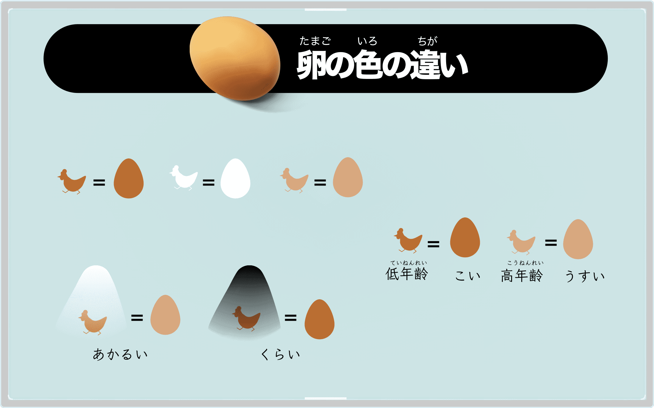 卵の色の違いって何 卵の栄養やカロリー らんparkも Egg