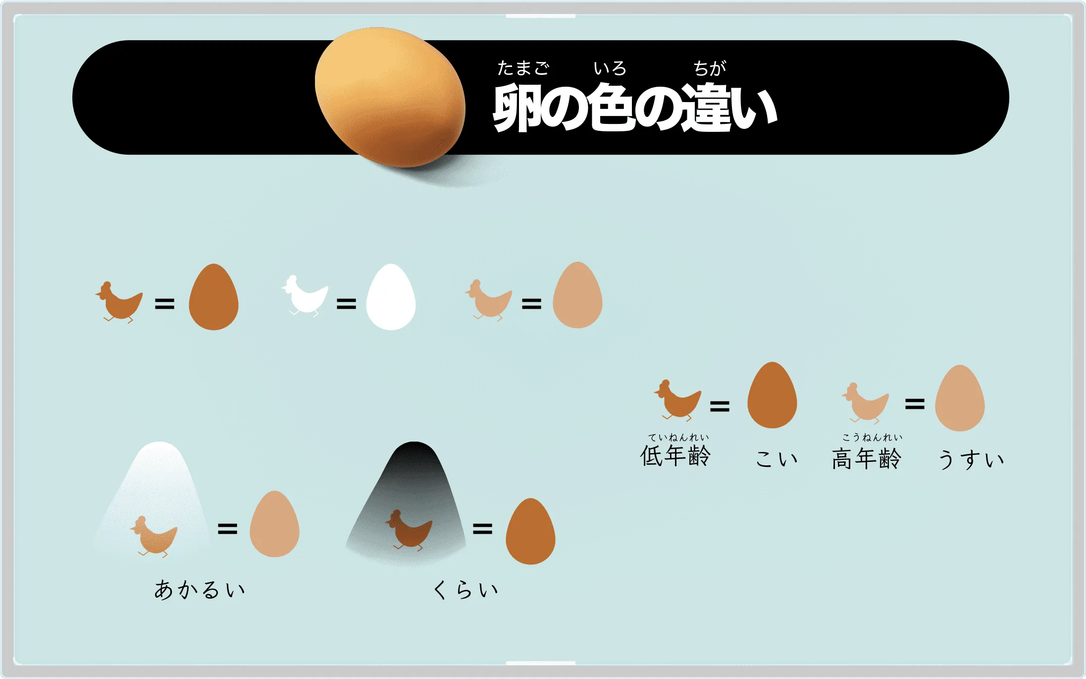 卵の色の違い