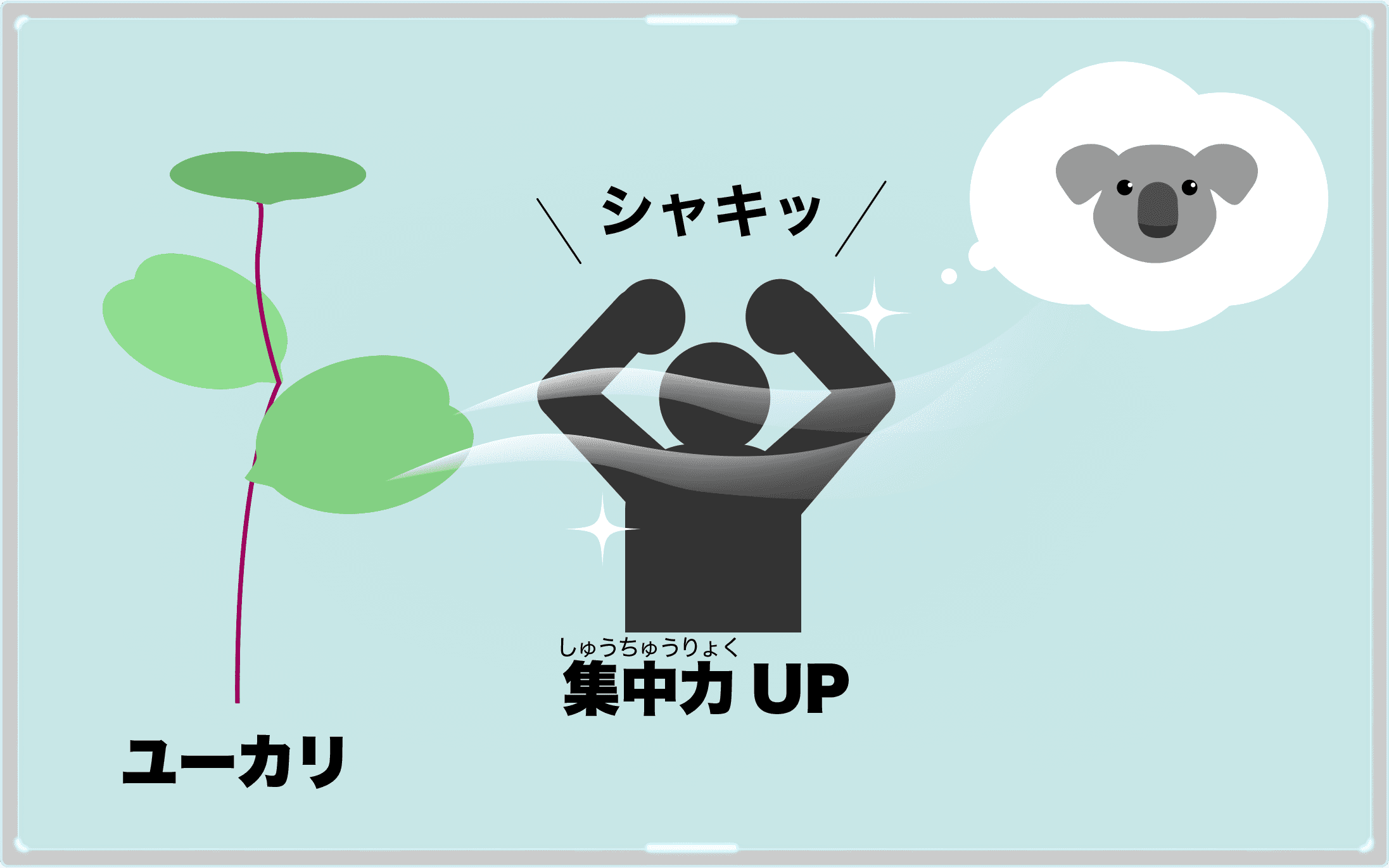ユーカリ