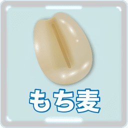 もち麦