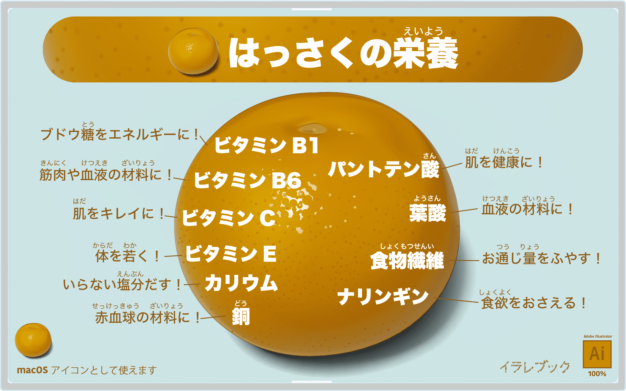 はっさくの栄養