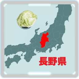 レタスの名産地は長野県
