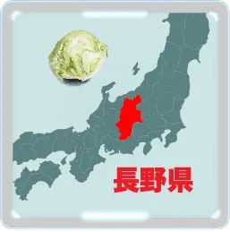 レタスの名産地は長野県