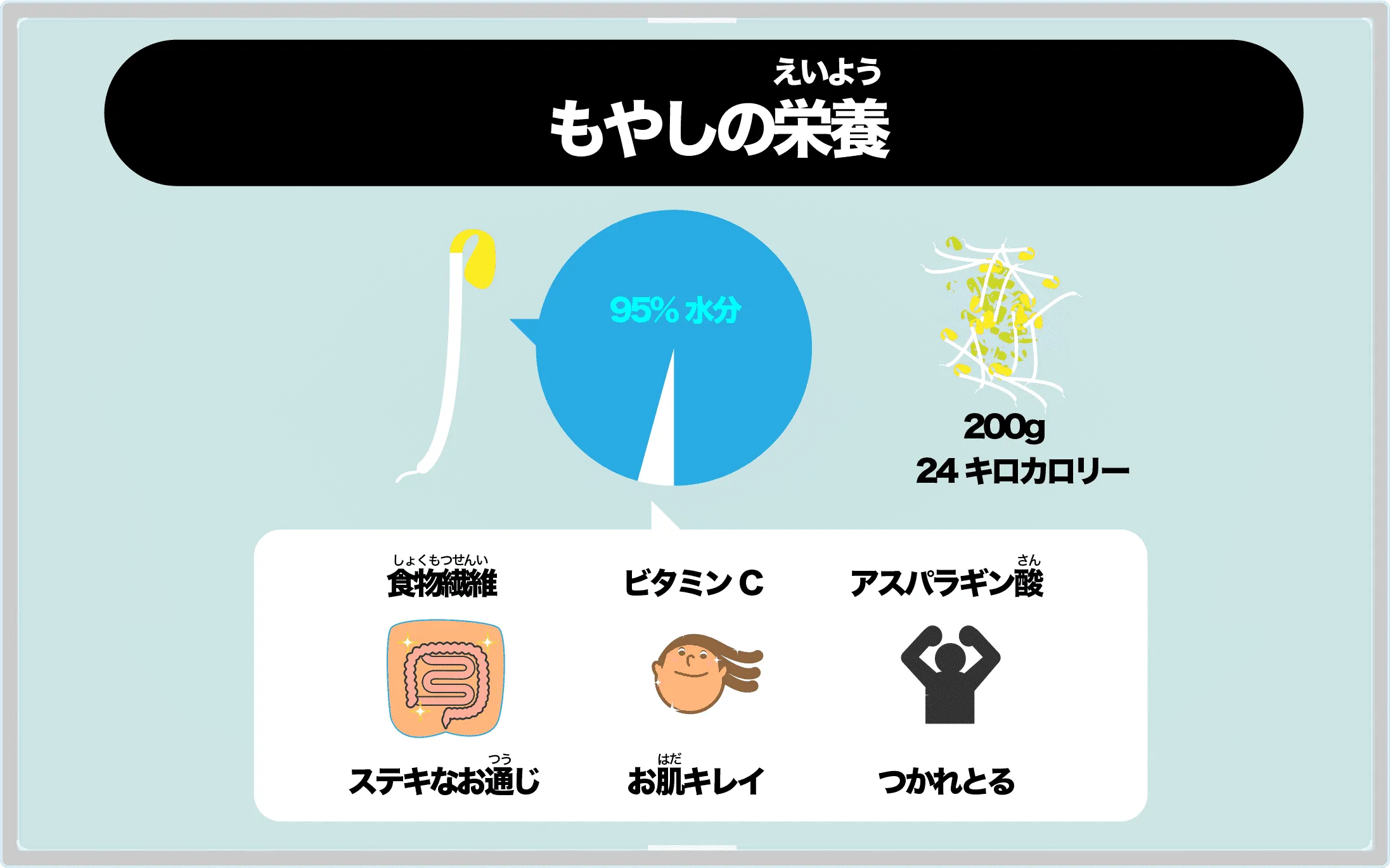 もやしの95%以上は水分。 1.5%が食物繊維