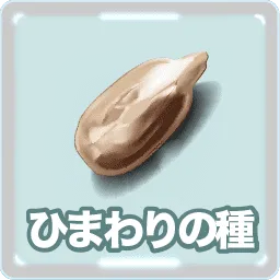ひまわりの種