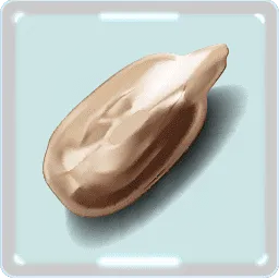 ひまわりの種