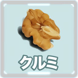 クルミ 脳にもいい栄養 くるみ割り人形の物語とブレインフード胡桃 Walnuts