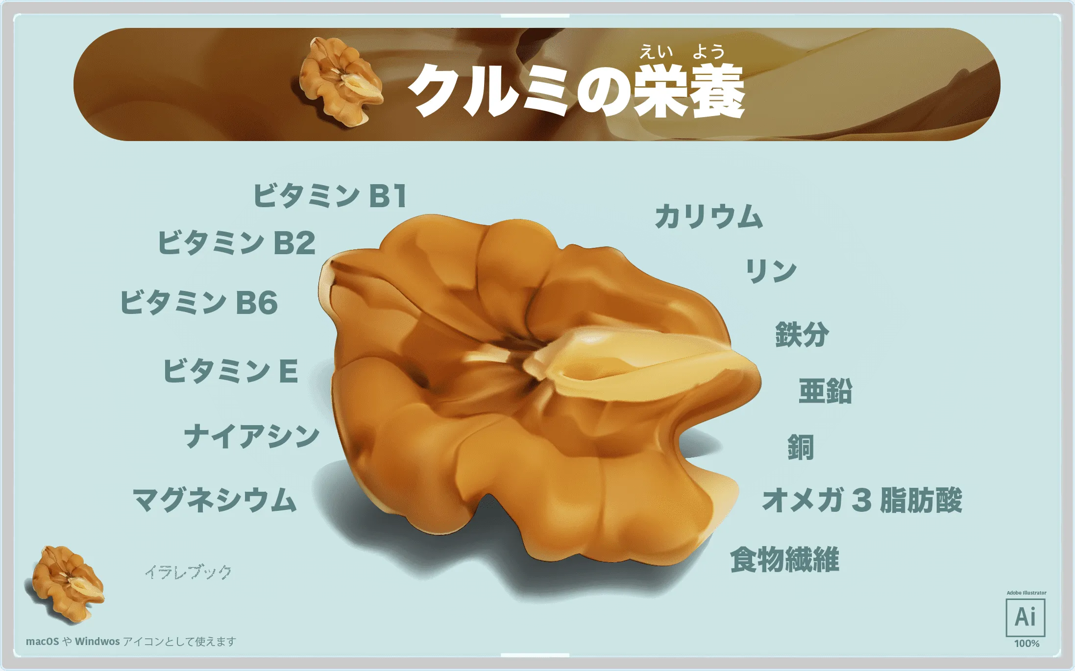クルミの栄養を図解