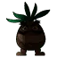 リュウゼツラン師匠