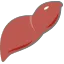 肝臓