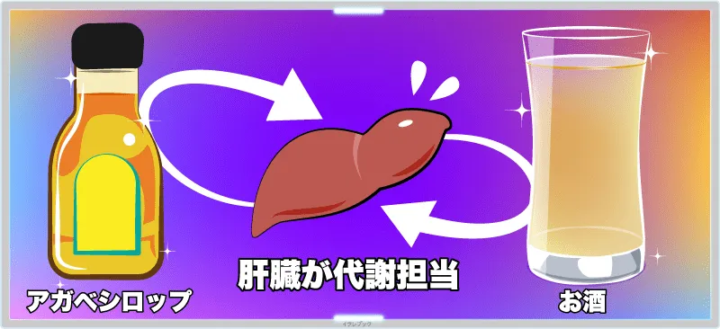 お酒も、どちらも肝臓が代謝を担当している