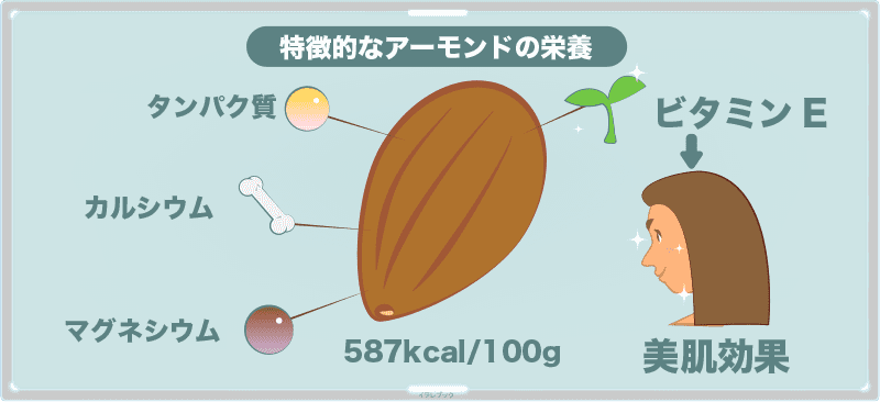 特徴的なアーモンドの栄養