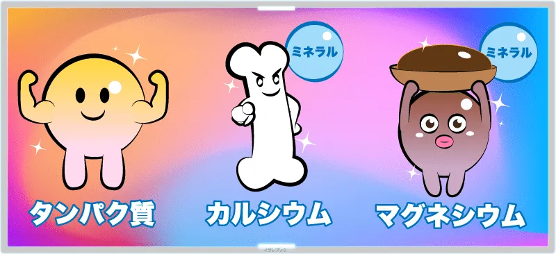 アーモンドはタンパク質が豊富なのはもちろんのこと、カルシウム、マグネシウムなどのミネラルがとても豊富