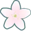 りんごの花