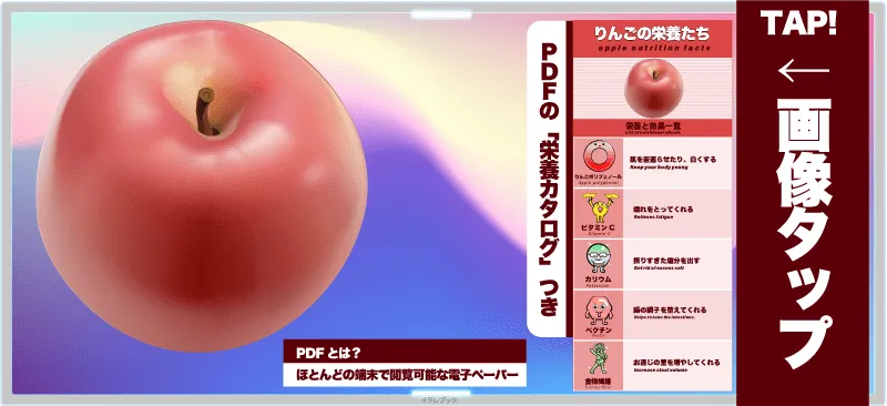 りんごの栄養 PDF
