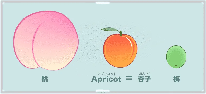桃とアプリコットと梅