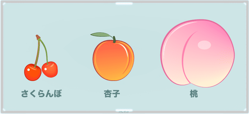 さくらんぼと杏子と桃と梅はバラ科サクラ属の植物