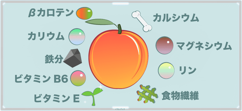 アプリコットの栄養一覧