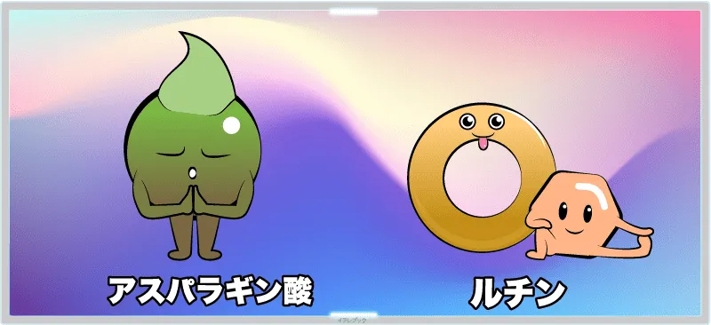 アスパラギン酸とルチン