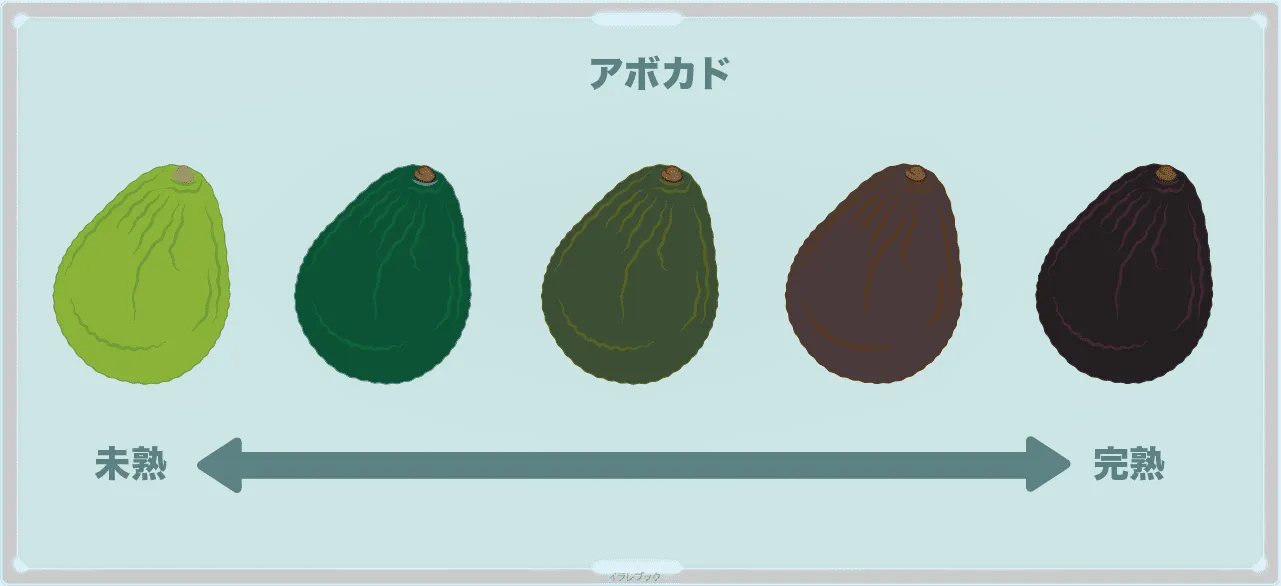 アボカドは熟れてくると黒くなる
