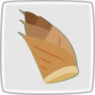 筍
