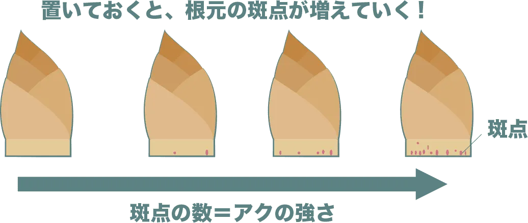 筍は、置いておくと斑点が増えていく。斑点が多いほどアクが強くなる