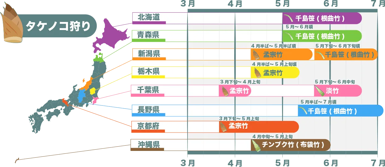筍狩りができる所一覧 北海道:島笹(根曲竹) 青森県：千島笹 新潟県：孟宗竹 栃木県：孟宗竹 千葉県：淡竹 長野県:千島笹 京都府：孟宗竹 沖縄県：チンブク竹(布袋竹)