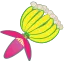 バナナの花