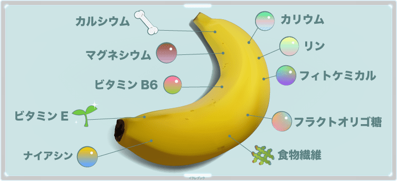 バナナの栄養