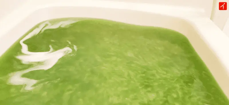 緑のお風呂