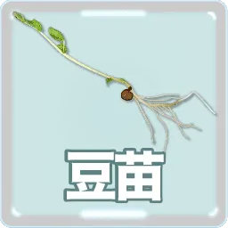 豆苗