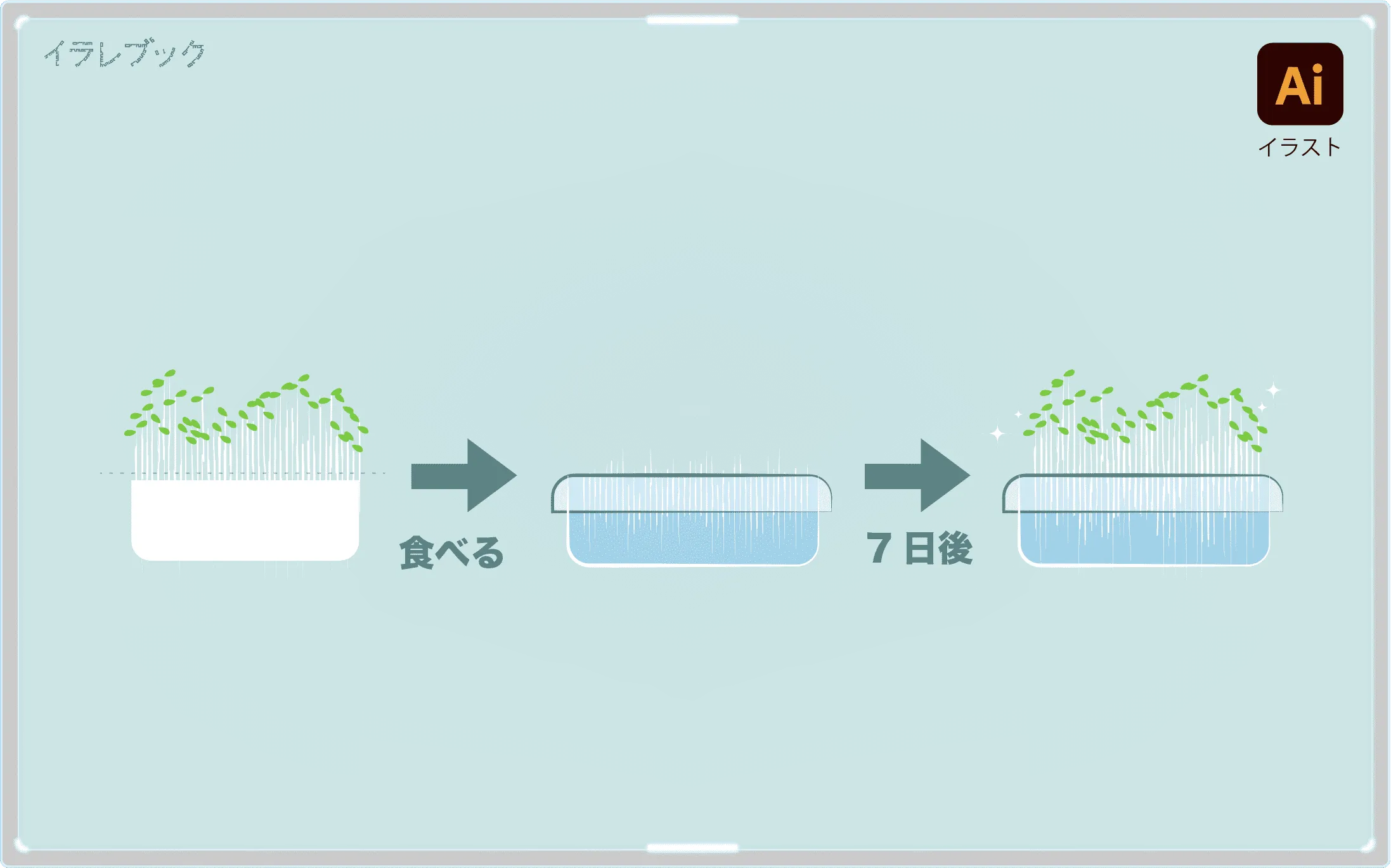 豆苗は育てる