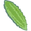 ゴーヤ
