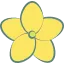 ゴーヤの花