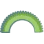 生ゴーヤ