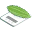 ゴーヤの選び方