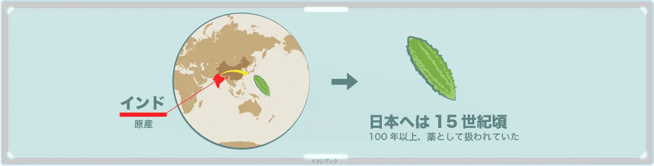 ゴーヤ