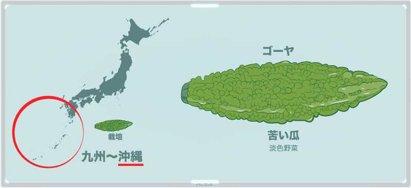 ゴーヤは九州・沖縄地方で盛んに栽培されている