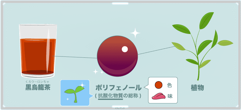 ポリフェノールとは?