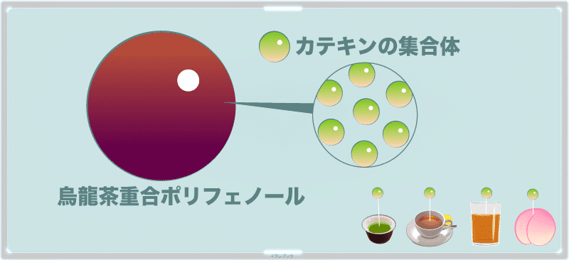 ウーロン茶重合ポリフェノールとはカテキンの集合体
