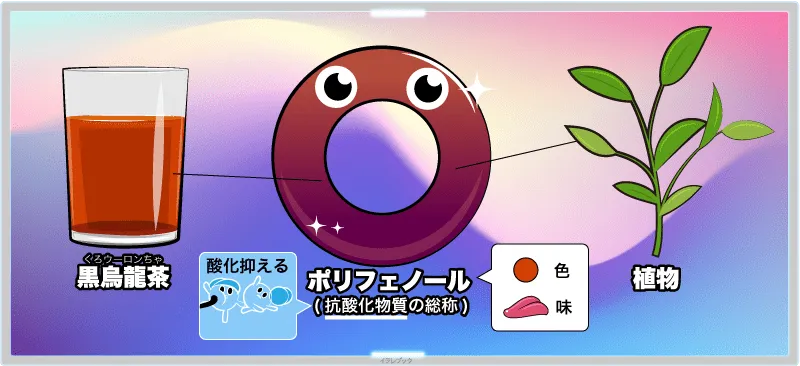 ポリフェノールとは？