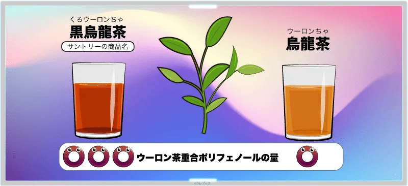 烏龍茶と黒烏龍茶の違いは、色とポリフェノールの量
