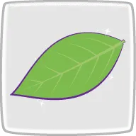 ブルーベリーの葉